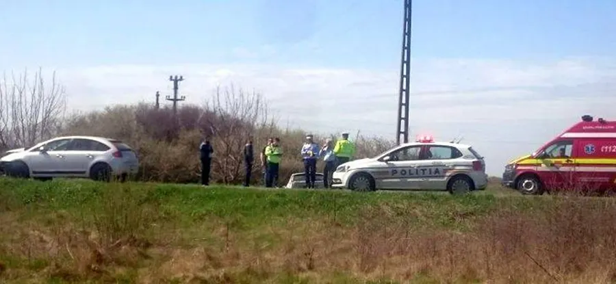 Accident la iesire din Timisoara. Cu ochii in telefon o tanara s-a izbit de un pom