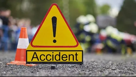 Accident din cauza unei vulpi