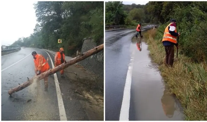 Copaci căzuți și drumuri inundate după codul galben