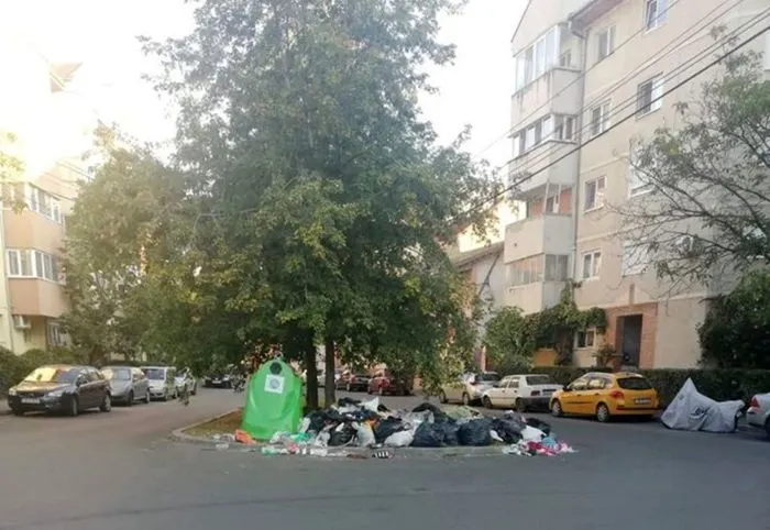 Ploaie de amenzi pentru cei care au aruncat gunoaie în stradă la Timișoara