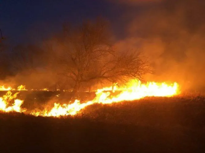 Incendiile de vegetație, un pericol actual