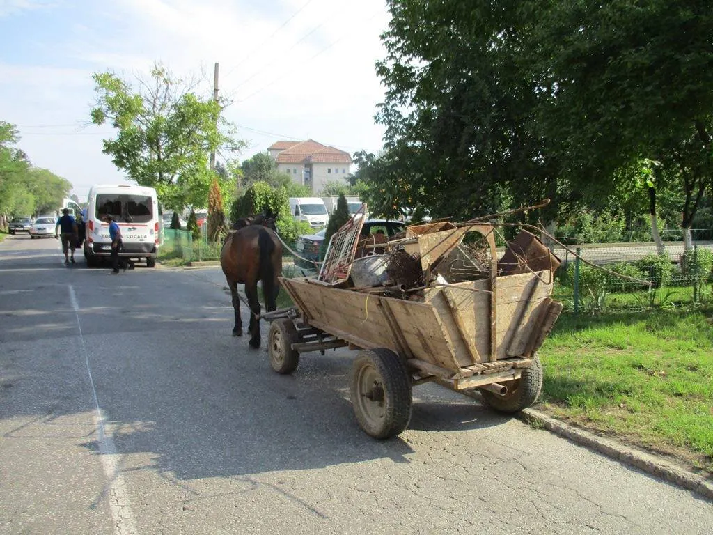 Cât costă să mergi cu căruța prin oraș