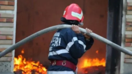 Incendiu de pădure între Nădrag și Fârdea