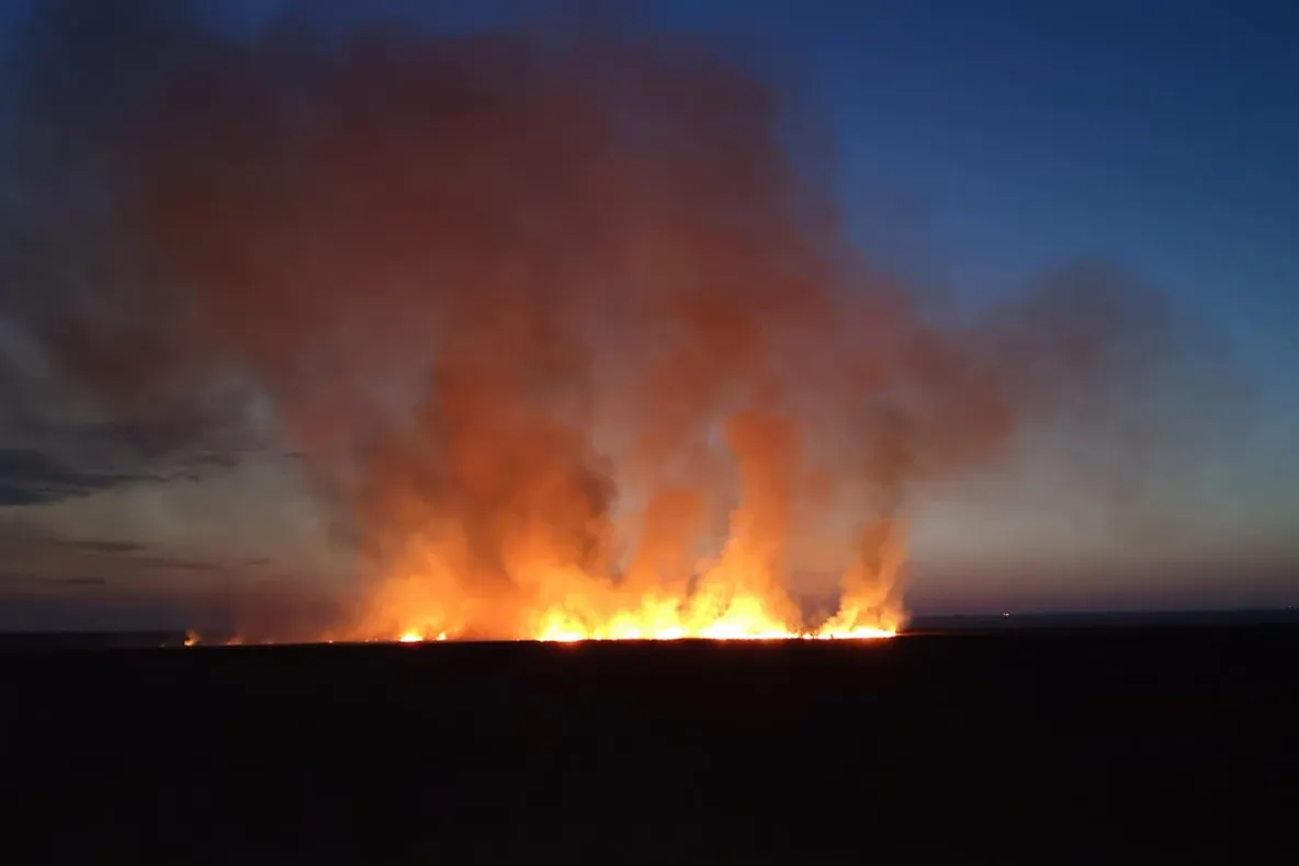 Incendiu la o fabrică din Timișoara