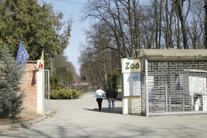 Grădina Zoologică din Timișoara, soluții de reamenajare