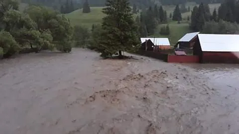 Inundații în Timiș. Bilanțul revărsării apelor. Video și foto