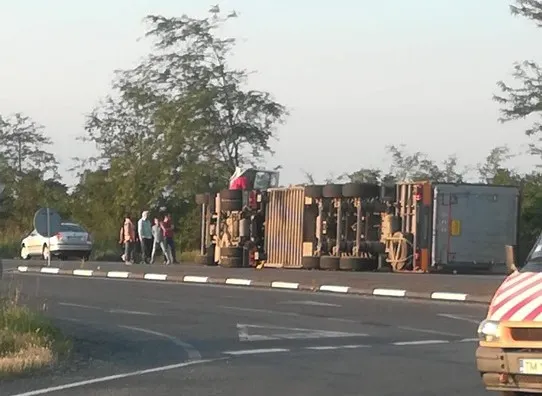 Un TIR care transporta porci s-a răsturnat lângă Timișoara