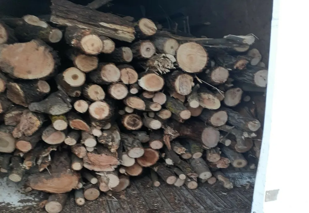 Amenzi de peste 300.000 de lei aplicate de Garda Forestieră Timișoara în vestul țării