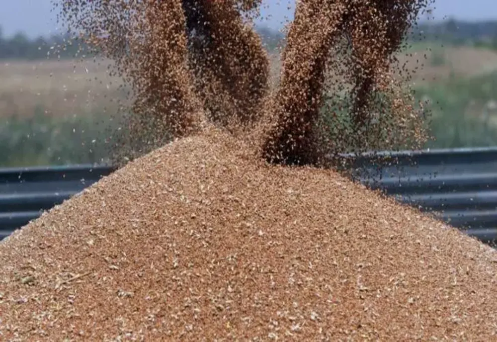 Scandalul cerealelor. România va permite în continuare tranzitul grâului și porumbului din Ucraina
