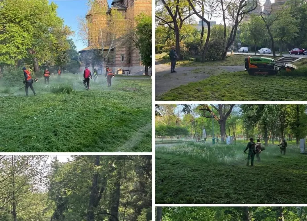 CONTROVERSE ÎN TIMIȘOARA PRIVIND ÎNTREȚINEREA SPAȚIILOR VERZI: CONSILIER AUR CONDAMNĂ PRIMĂRIA DE DEZINFORMARE