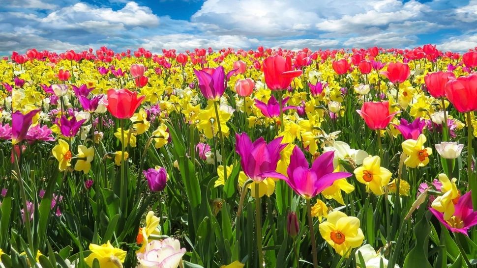 ANM, prognoza meteo actualizată până la finalul lunii aprilie. Meteorologii anunță un val de căldură neobișnuit