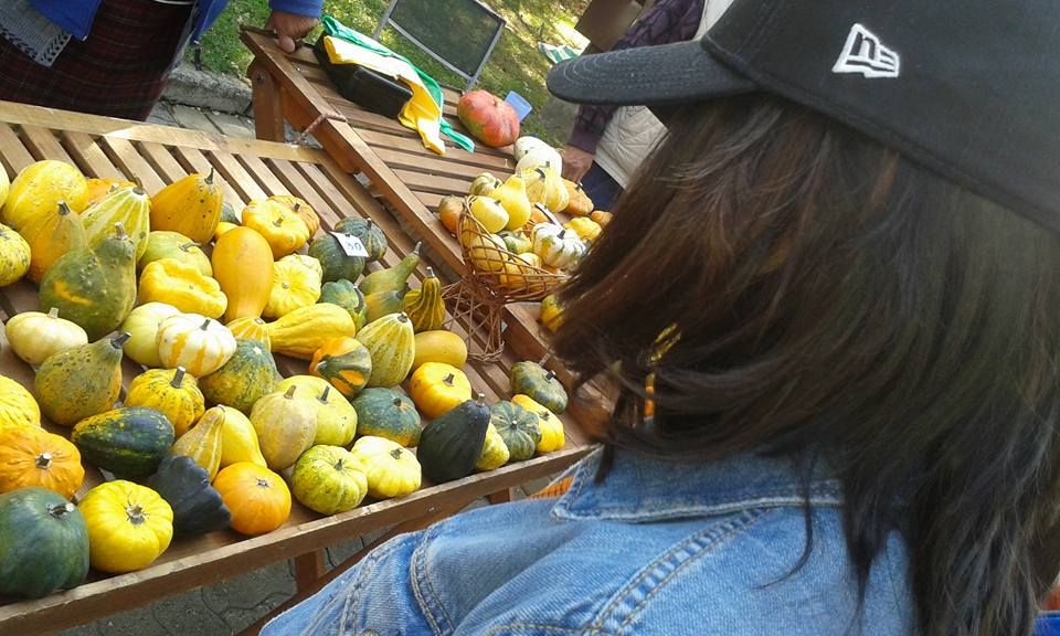 Începe Festivalul Dovleacului la Kikinda. Cele mai grozave ludăi din Banat