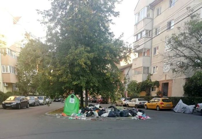 Ploaie de amenzi pentru cei care au aruncat gunoaie în stradă la Timișoara