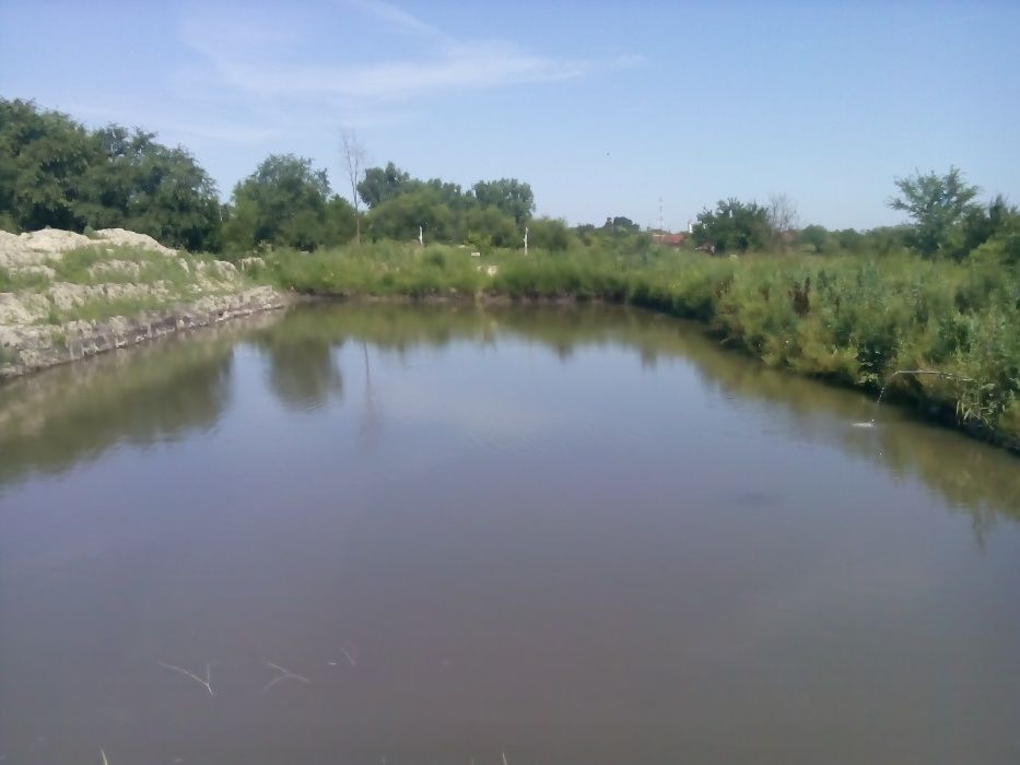 Descoperire macabră  într-un lac de lângă Timișoara