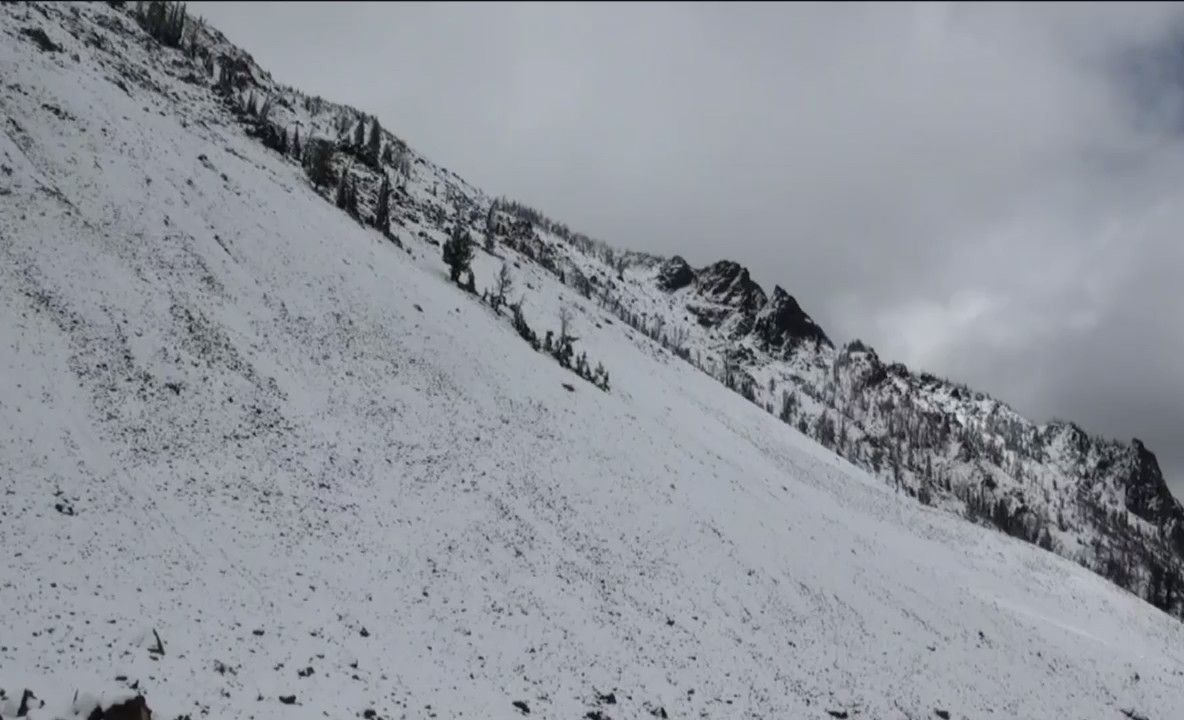 Prima ninsoare a sezonului, aproape de Timișoara