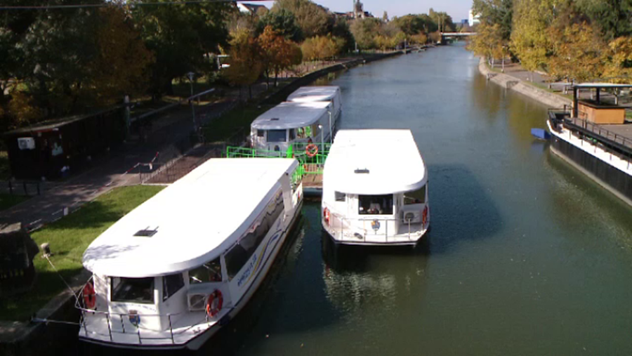 Navigația pe Bega, cadou de 8 martie