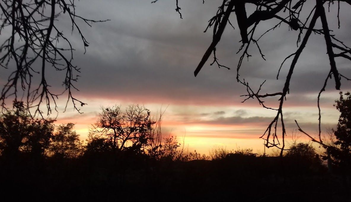 Seceta continuă în Banat, agricultorii așteaptă ploile