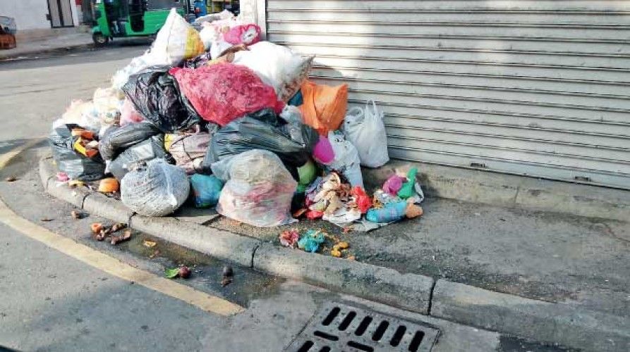 Timișoara Curată. Obiectiv posibil sau perdea de fum?