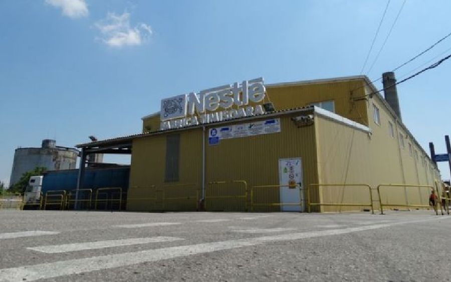 Sute de oameni ramân fara loc de munca. Nestle inchide fabrica de la Timisoara