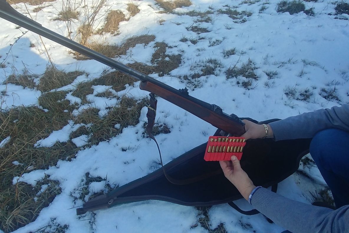 Căprioară salvată din ghearele morții de pompierii timișeni