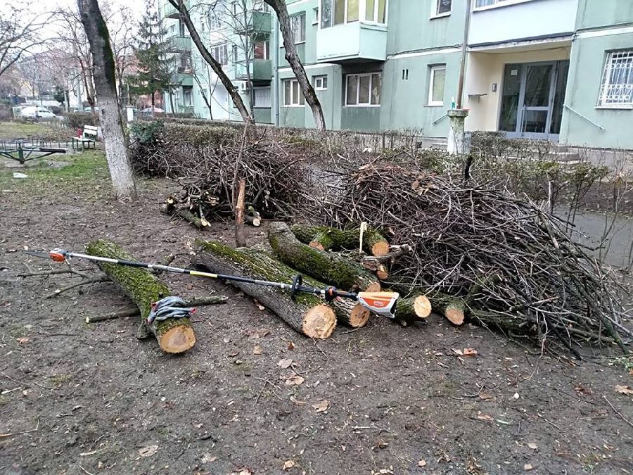 Rampe de gunoi și crengi de copaci vor fi luate de pe străzile din Timișoara. Cine se va ocupa de ridicarea deseurilor?