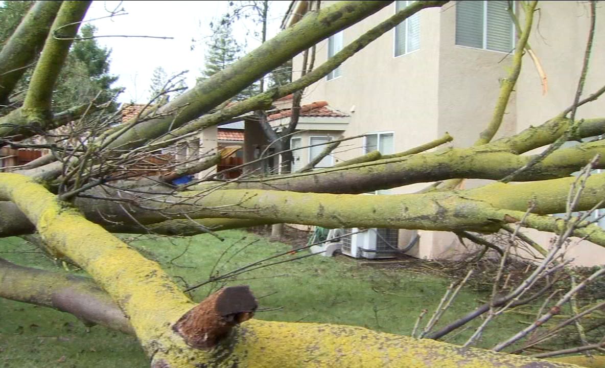 Seara de coșmar la Timișoara și în județ. Rămâneți în case, este pericol