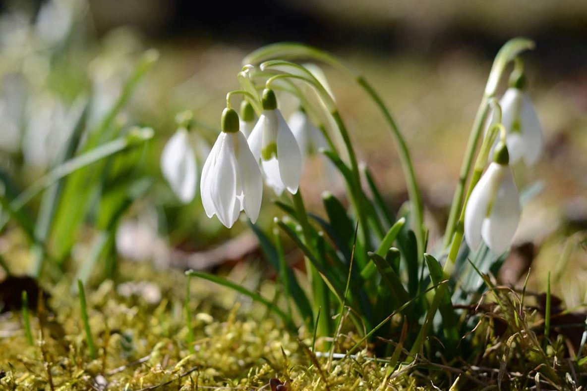 Weekendul începe cu vreme frumoasă