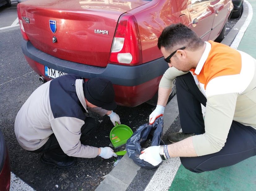 Chiștocless – Un oraș mai curat