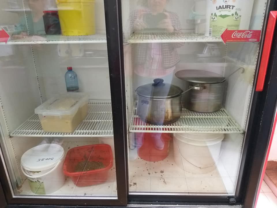 Produse expirate și multă mizerie, specialitatea casei la un fast food din centrul Timișoarei