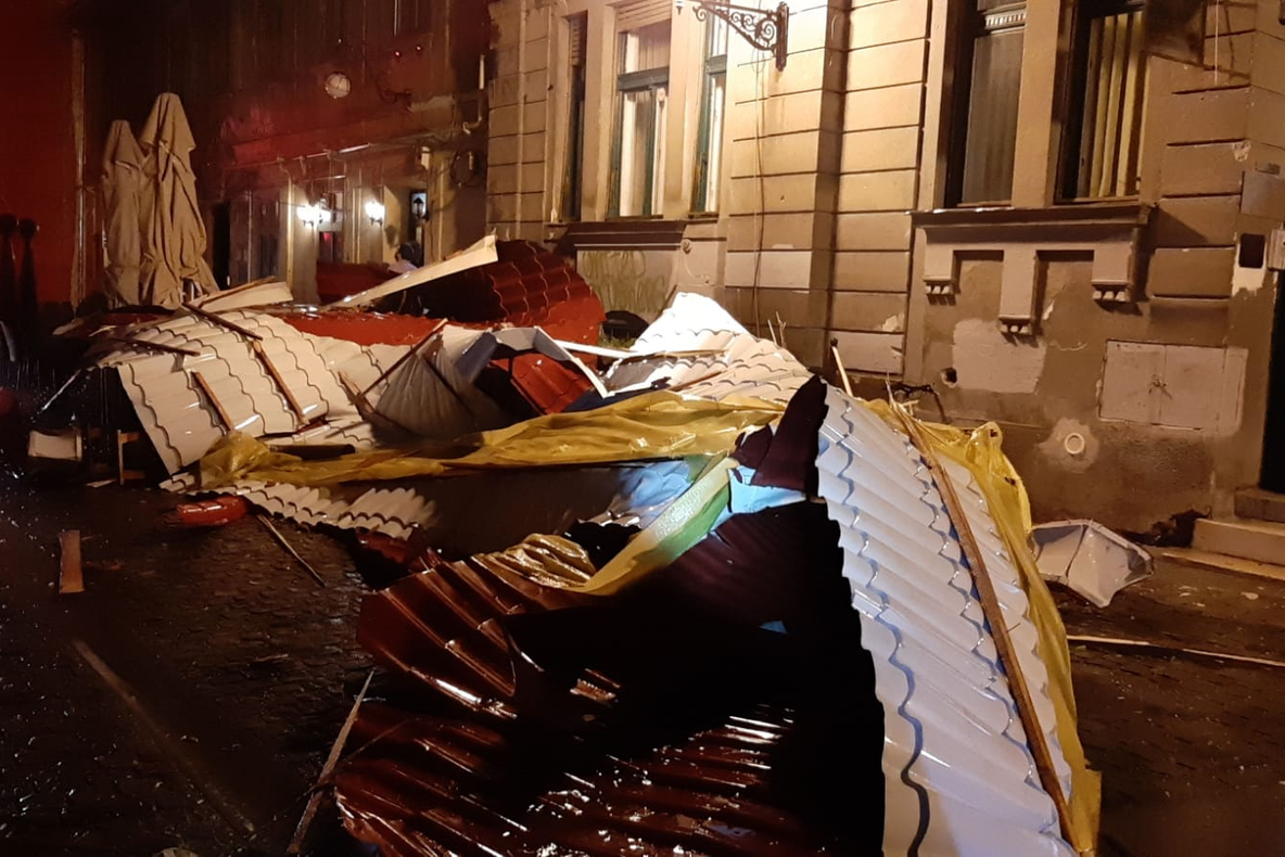 Vijelie în Timiș. Bilanțul intervențiilor