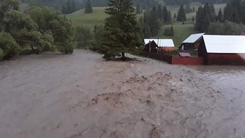 Inundații în Timiș. Bilanțul revărsării apelor. Video și foto