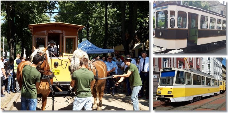 Un secol și jumătate de transport public în Timișoara. Tramvaiul tras de cai și alte 10 modele au circulat pe linii