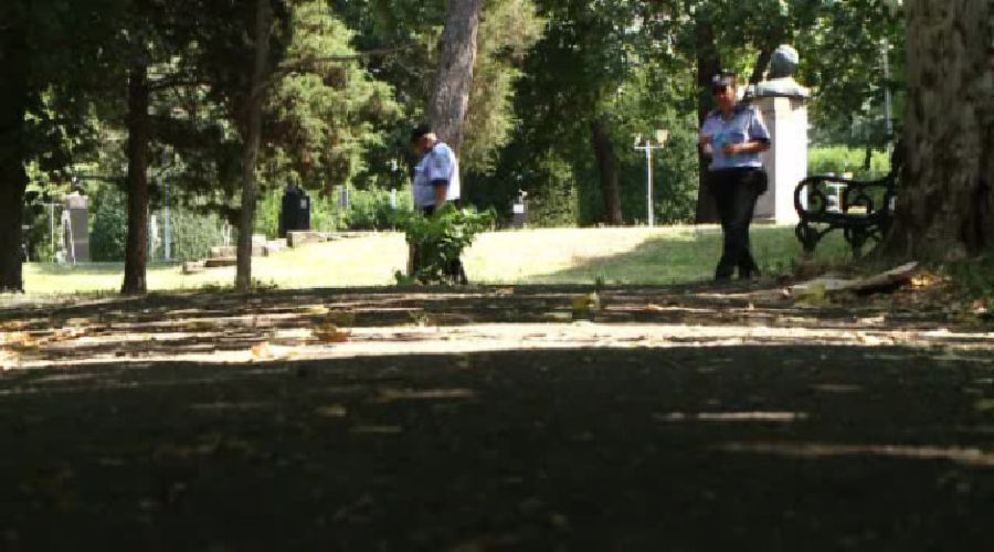 Tineri amendați drastic într-un parc din Timișoara