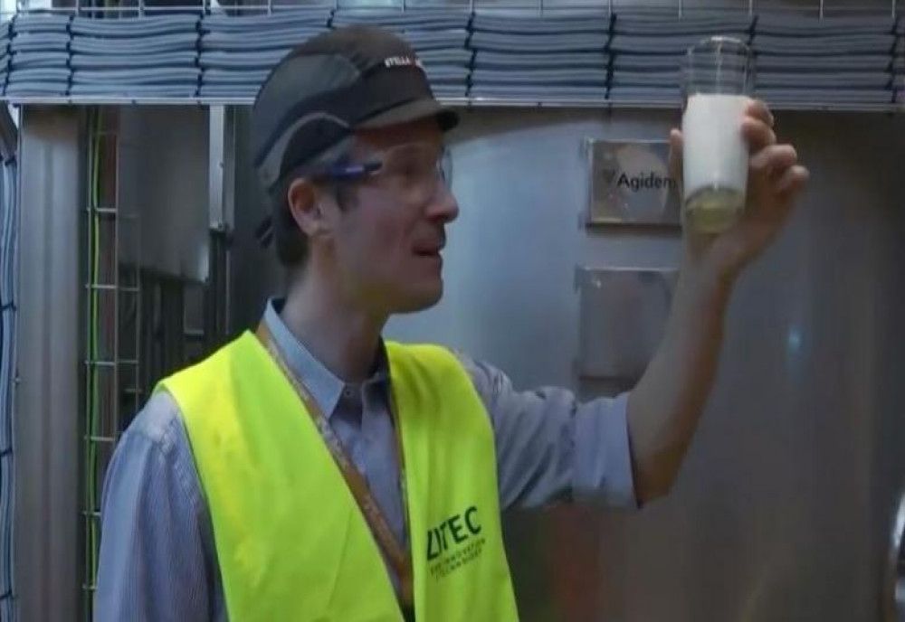 A fost inventat detergentul provenit din bere