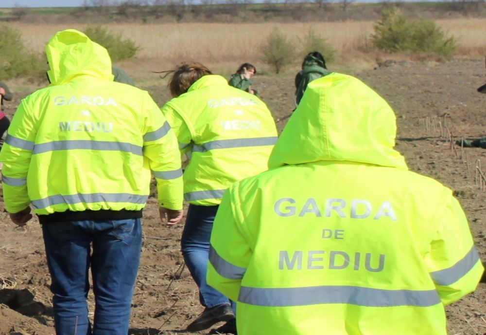 Amenzi de sute de mii de lei și activitatea suspendată după controale ale Gărzii de Mediu