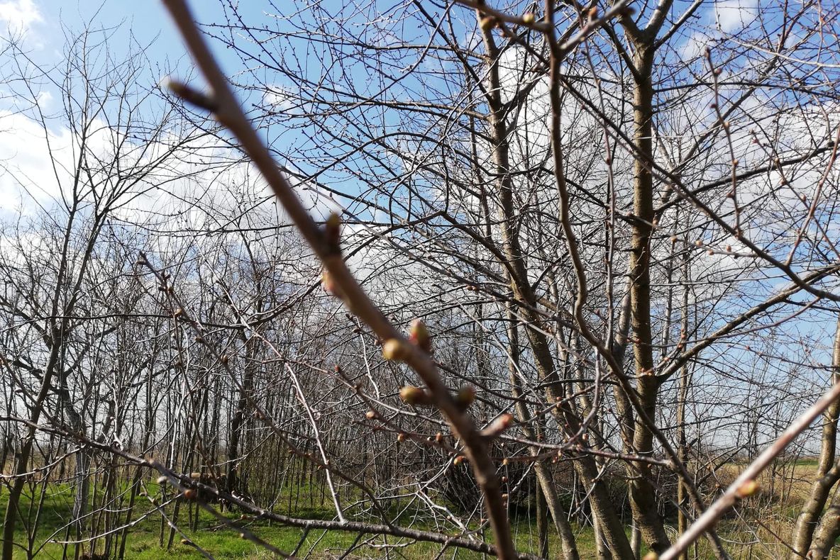 Vreme frumoasă și în încălzire ușoară