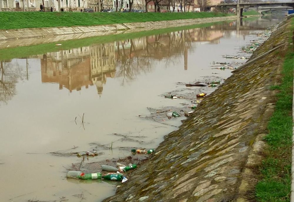 Bega, mai curată. O mare cantitate de deșeuri a fost scoasă din apă