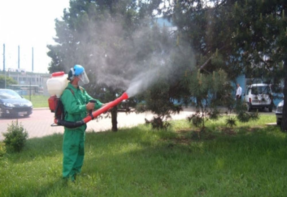 Dezinsecție și deratizare la Timișoara. La ce trebuie să fim atenți?