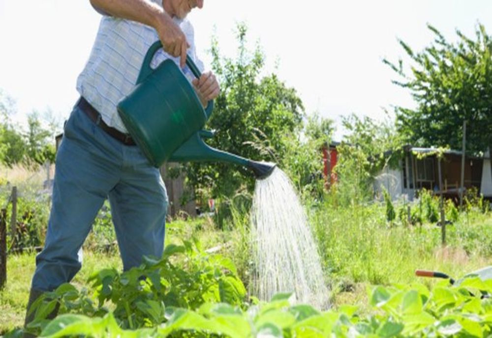 Apa potabilă nu este pentru udatul grădinilor