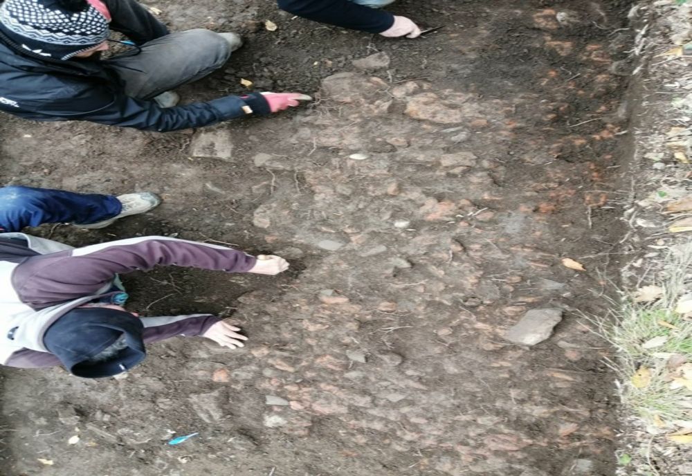 Relicve dacice, descoperite în județul Timiș, în zona unei vestite cetăți medievale