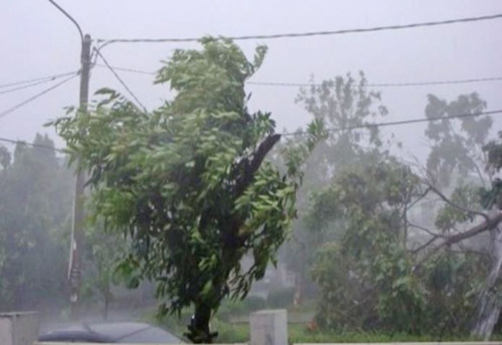 Cod galben de vânt în Timiș și în Caraș-Severin