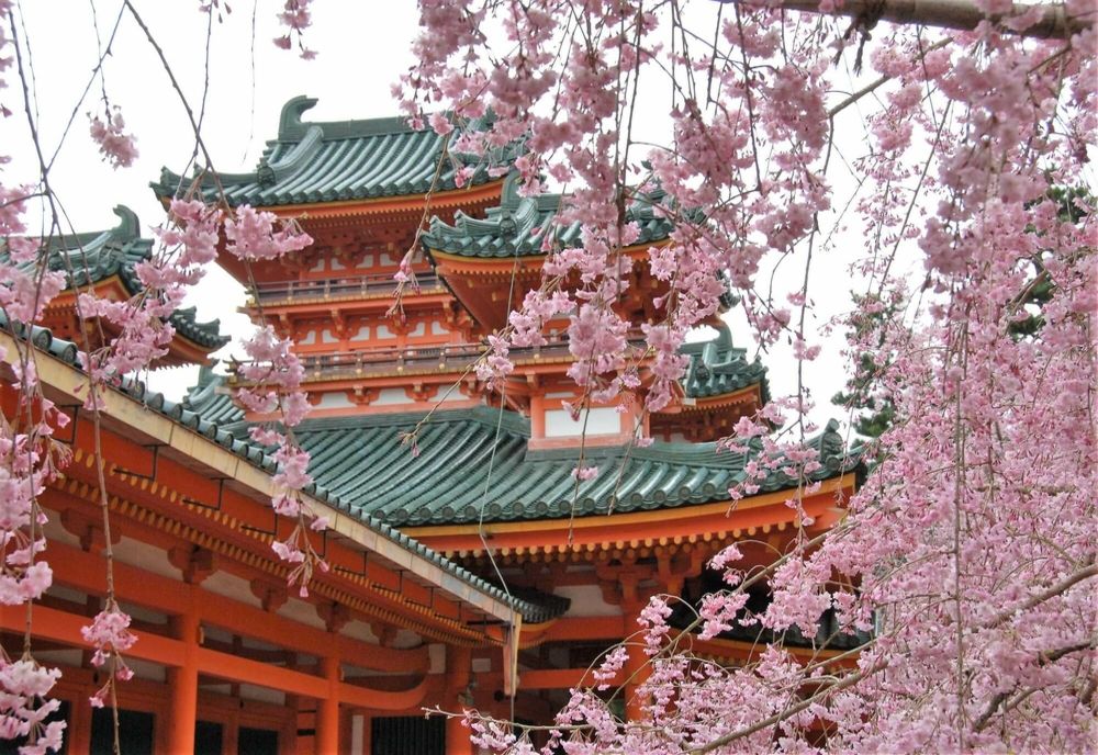 Limba și cultura japoneză la Universitatea Politehnica Timișoara