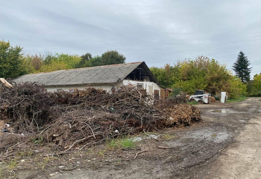 Instanța a dat câștig de cauză Primăriei:  schimbarea Consiliului de Administrație al Horticultura s-a făcut legal.