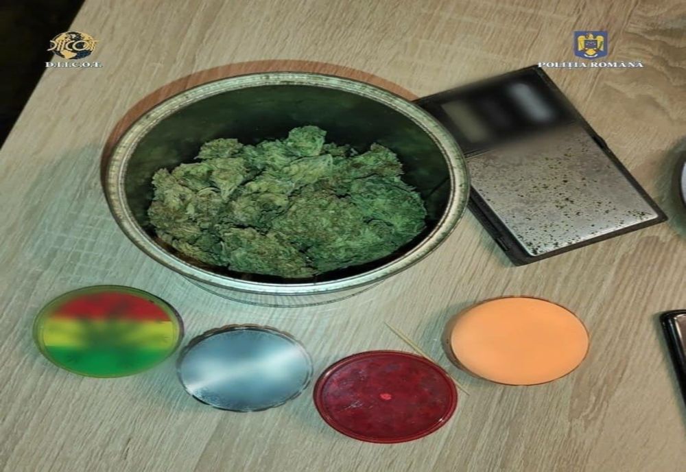 Percheziţii în trei judeţe la traficanţi care aduceau mari cantităţi de droguri din Spania