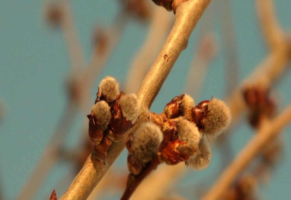 Un nou șoc termic pentru români. Temperaturi neobișnuit de mari pentru februarie, maxime de 19 grade