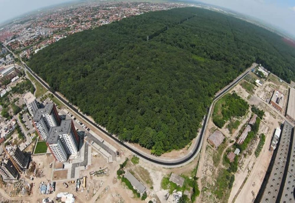 Pădurea Verde se transformă în pădure parc! Intervenții minim invazive pentru crearea unui nou punct de atracție al orașului