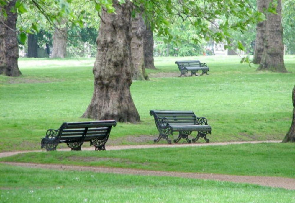 Ce se întâmplă cu spațiile verzi, proiectul care poate schimba totul