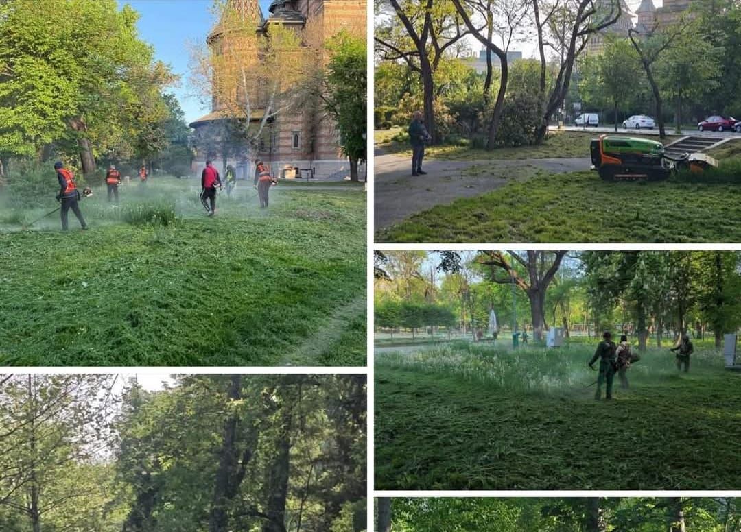 CONTROVERSE ÎN TIMIȘOARA PRIVIND ÎNTREȚINEREA SPAȚIILOR VERZI: CONSILIER AUR CONDAMNĂ PRIMĂRIA DE DEZINFORMARE