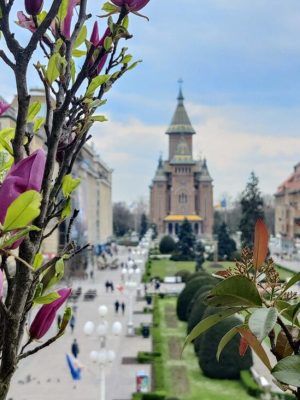 TIMIȘOARA ÎȘI CONTUREAZĂ VIITORUL TURISTIC: PRIMA STRATEGIE PROFESIONALĂ DE DEZVOLTARE ESTE ÎN LUCRU