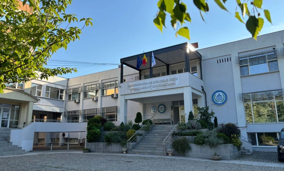 PROFESORI DIN TIMIȘOARA, PRINȘI DE DNA CĂ PRIMEAU BANI PENTRU ABSENȚE